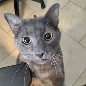 Meet your Posher, Omar